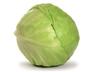 Cabbage