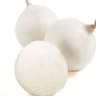 Onion: White