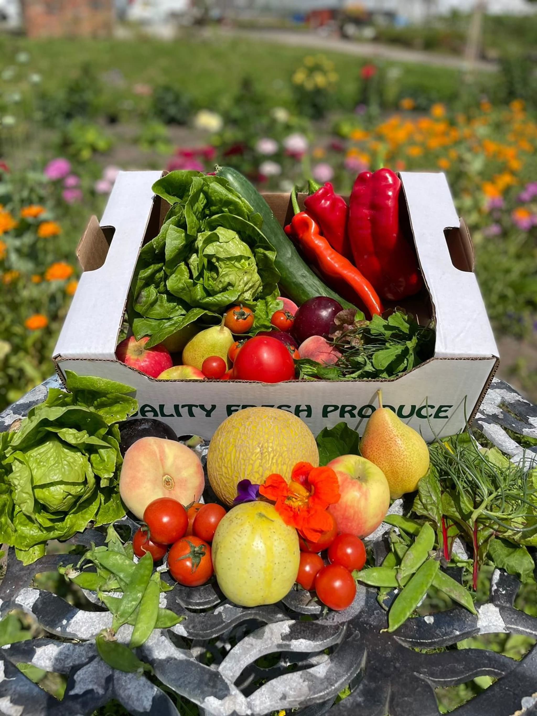 Fruit & Salad Box