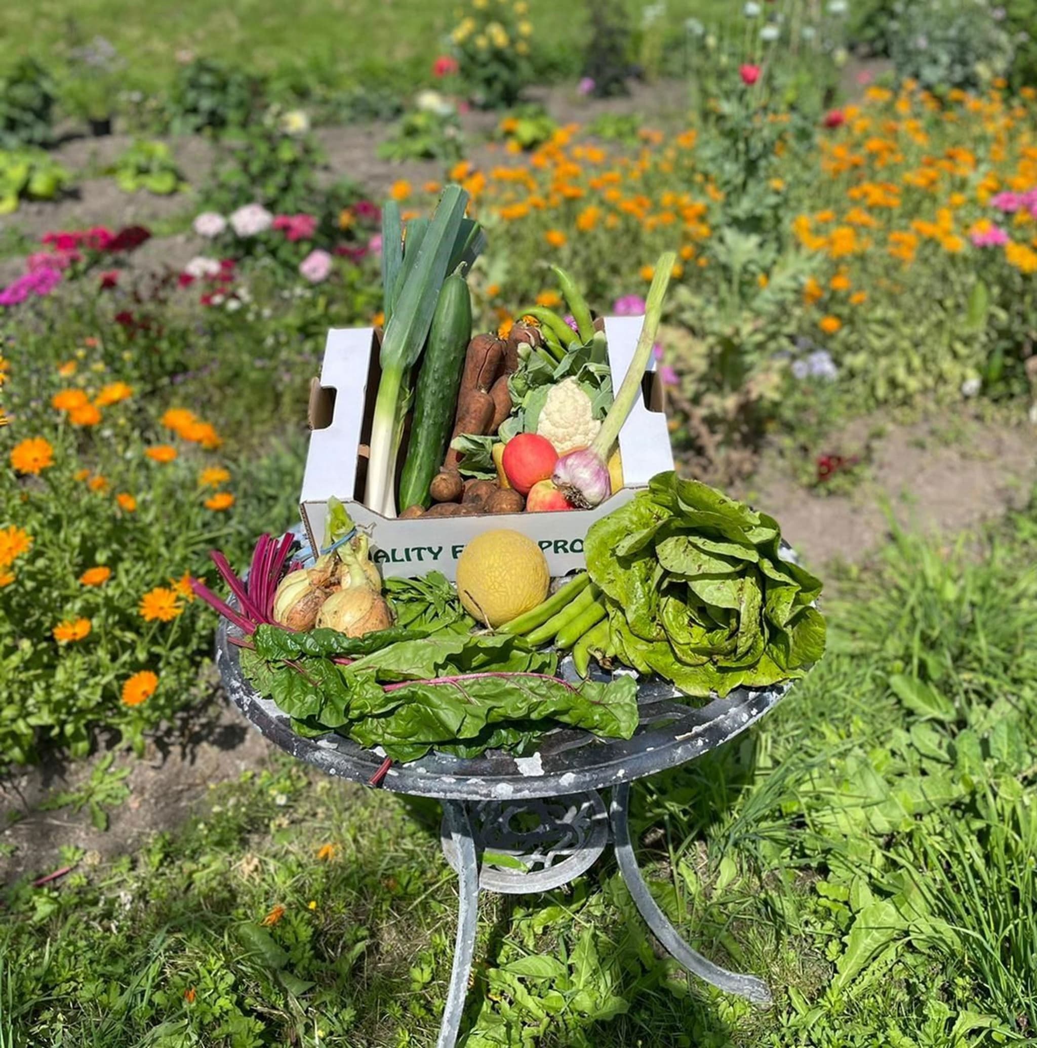 Veg & Fruit & Salad Box